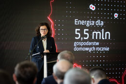 Pobierz Aleksandra Dulkiewicz