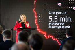 Pobierz Magdalena Kamińska