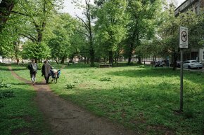 DSC03204.jpg