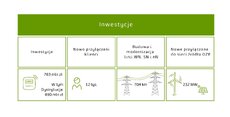 ebitda-kluczowych-linii-biznesowych-4-jpg