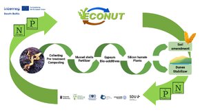 ECONUT infographics_page-0001.jpg