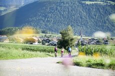 kro00413alfi-c-alex-filz-jpg