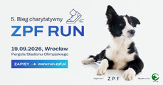 zpf-run_grafika-przewodnia-jpg