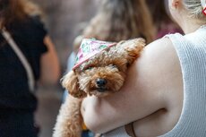 pgf_mg_0181_patryk-gradys_fullres-jpg