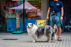 pgf_mg_2770_patryk-gradys_fullres-jpg