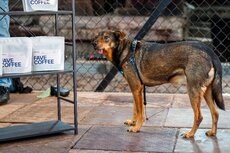 pgf_mg_3111_patryk-gradys_fullres-jpg