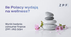 wellness_grafika-przewodnia-jpg