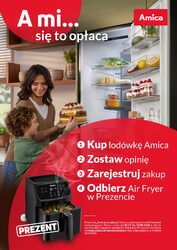Amica
