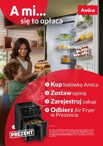 Amica