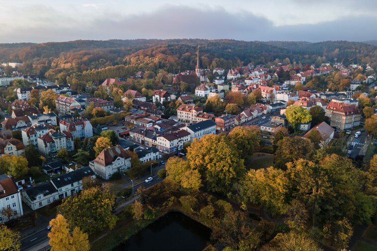 Oliwa o wschodzie słońca 2, fot  Piotr Wittman