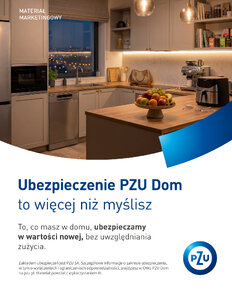 PZU Dom - mienie - KV