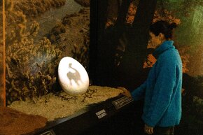Dino Experience © OCUBO_12.jpg