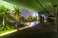 dino-experience-ocubo_2-jpg