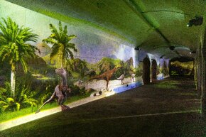 Dino Experience © OCUBO_2.jpg