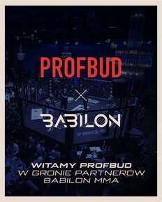 partner-Profbud (1).png