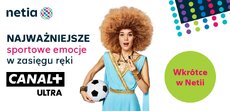 netia_2452_afrodyta_ip_kv-jpg