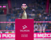 Polska Liga Siatkówki