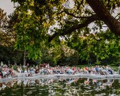 Koncerty Ogród Dźwięków w Ogrodzie Japońskim fot. Park Śląski