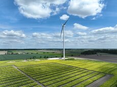 dji_0083-jpg