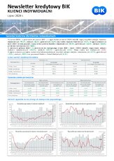 bik_newsletter-kredytowy_dane-vi-2026_2026_07_30-pdf