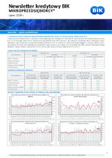 bik_newsletter-kredytywy-mikroprzedsiebiorcy_dane-vi2026_31_07_2026-r-pdf