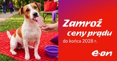 e_on_zamroz-ceny-pradu_1200x628-png