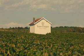 veuveclicquot-vineyard.jpg