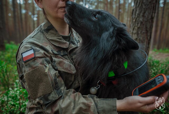 ARES (2)