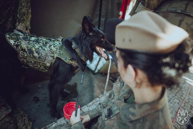 ARES (11)