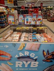 carrefour_targi-ryb_4-jpeg