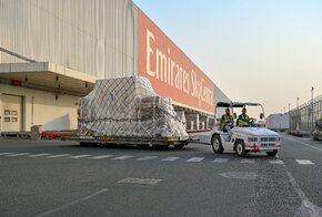 dsc_3168.jpg