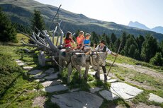 erlebnisfuhrung-woody-walk_-brixen-tourismus-genossenschaft_philipp-jpg