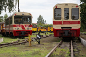 DSC00510.jpg