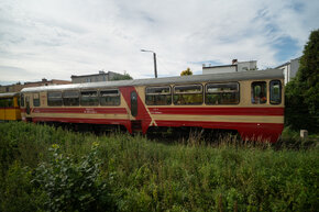 DSC00484.jpg