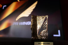 pr_wings_statuetki-5-jpg
