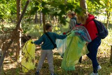 sprza_tanie-s_wiata-4-jpg