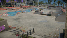 skate_-0_32_5-3-jpg