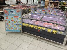 targi_ryb_carrefour_3-jpeg