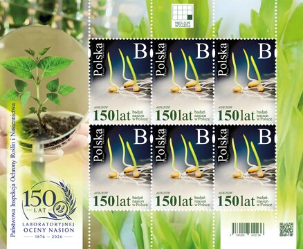 150-NASION arkusz maly 