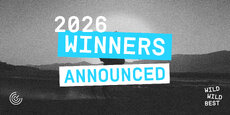 winners_announced_nl_copy-jpg