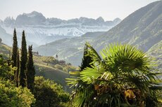 nz7_5462-kopie-jpg
