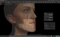 3d-tissue-animation-png