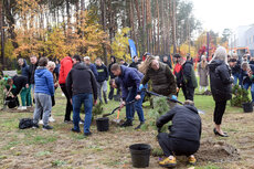 enea-kozienice-2026-11-jpg