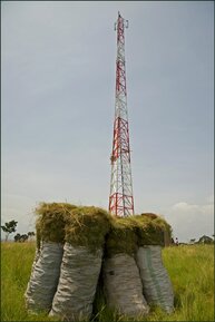 Stacja bazowa w Afryce