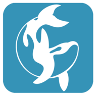 SmartTM - Icon.png