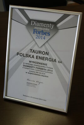 Diament Forbesa 2014.JPG