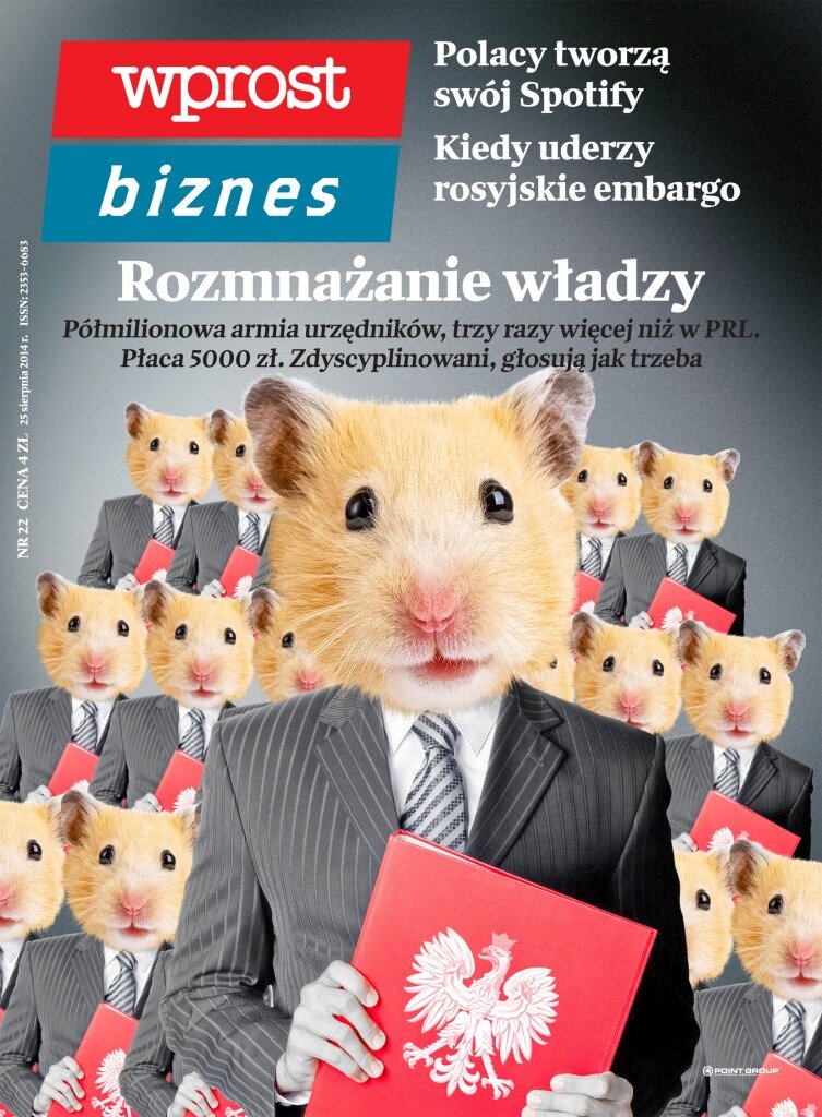 WprostBiznes_22_2014.jpg