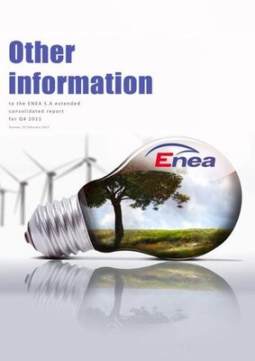 Other information to the ENEA extended consolidated report for Q 4 2011