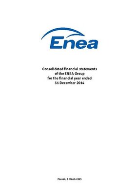 Separate financial statements of the Enea Capital Group 