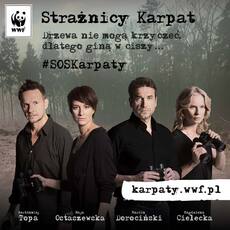 Strażnicy Karpat kw.jpg